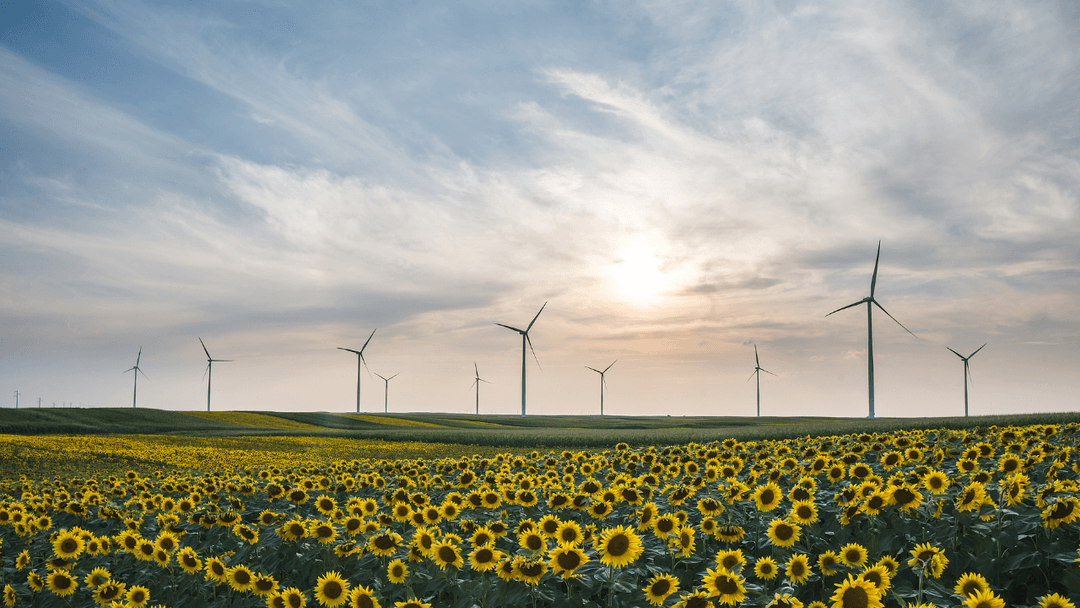 5 maneiras de alinhar o crescimento econômico com baixas emissões de carbono - image