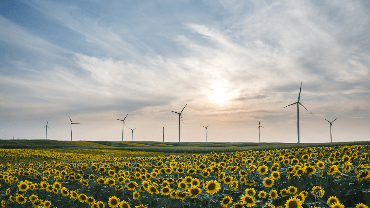 5-maneiras-de-alinhar-o-crescimento-economico-com-baixas-emissoes-de-carbono.png