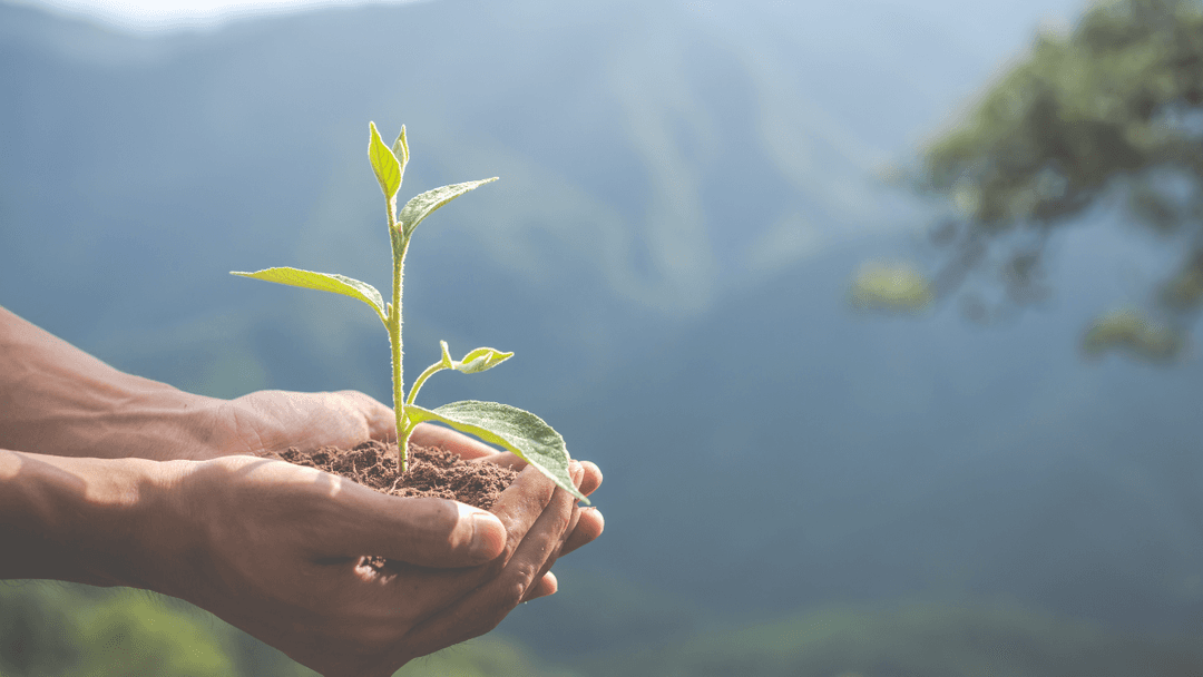 5 Políticas públicas para promover a transição para uma economia mais sustentável - image