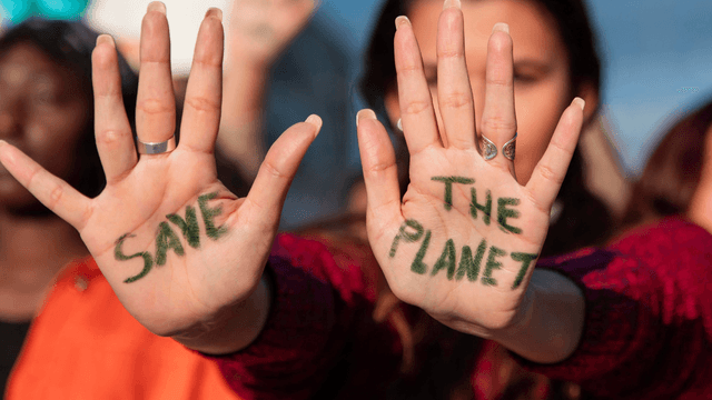 Greenwashing: quando a sustentabilidade vira apenas uma estratégia de marketing - image