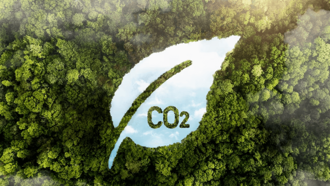 Guia completo para desenvolver seu inventário de carbono - image