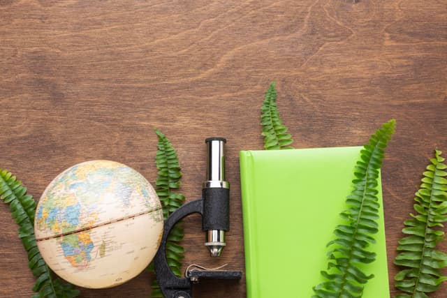 Itens indispensáveis no relatório de sustentabilidade - image