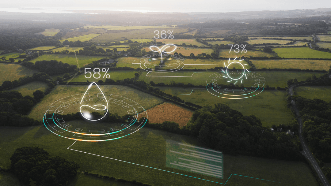Orgânico, carbono neutro e ecológico: o que é verdade, o que é marketing e o que realmente dá resultado? - image