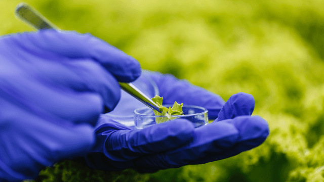 Bioinsumos no Agro Brasileiro - image