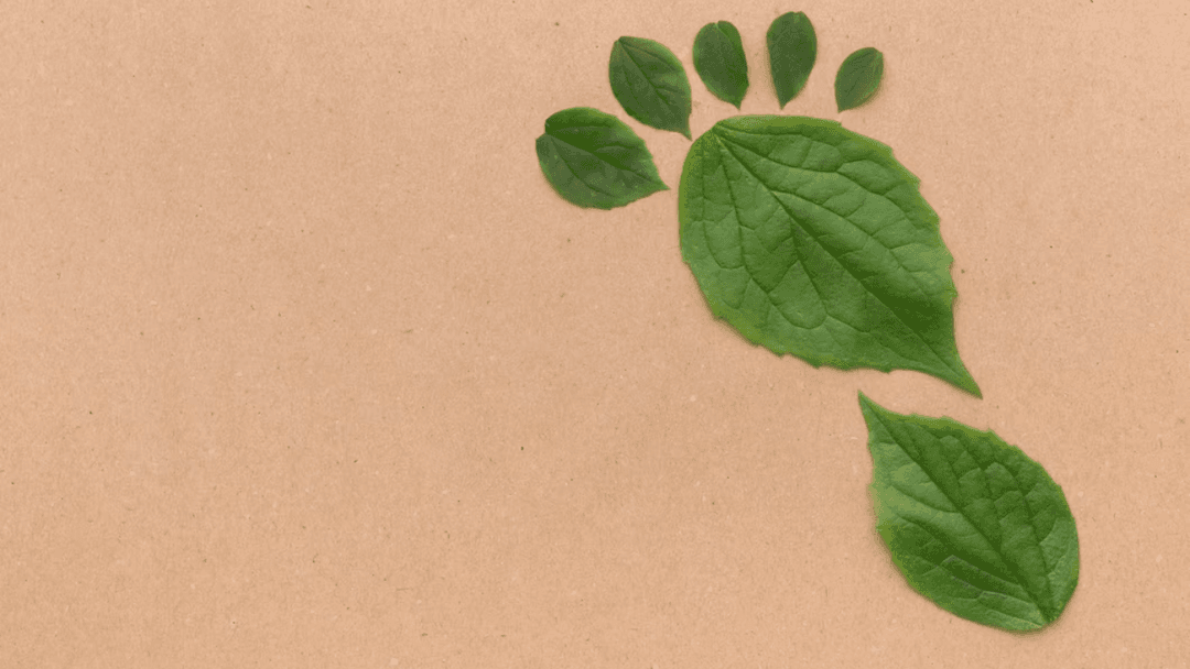 Qual a diferença entre Inventário de Carbono e Pegada de Carbono? - image